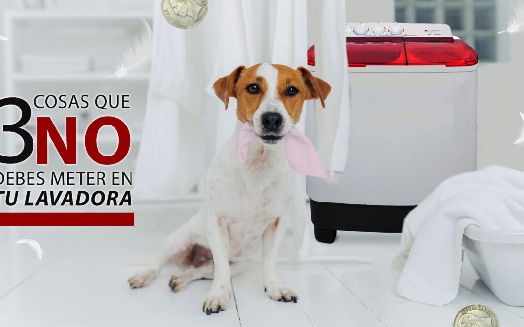 These are the 3 things you should not put in your double tub washing machine